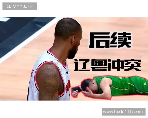 武汉排球队技术争议引发热议球迷与专家观点交锋激烈